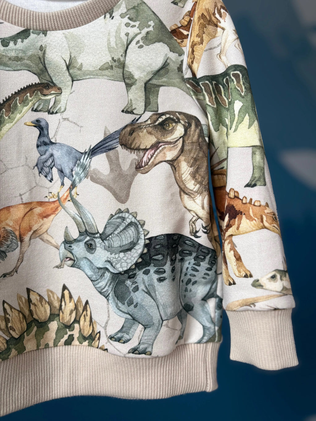 Bluza chłopięca w dinozaury - Bunny Baby