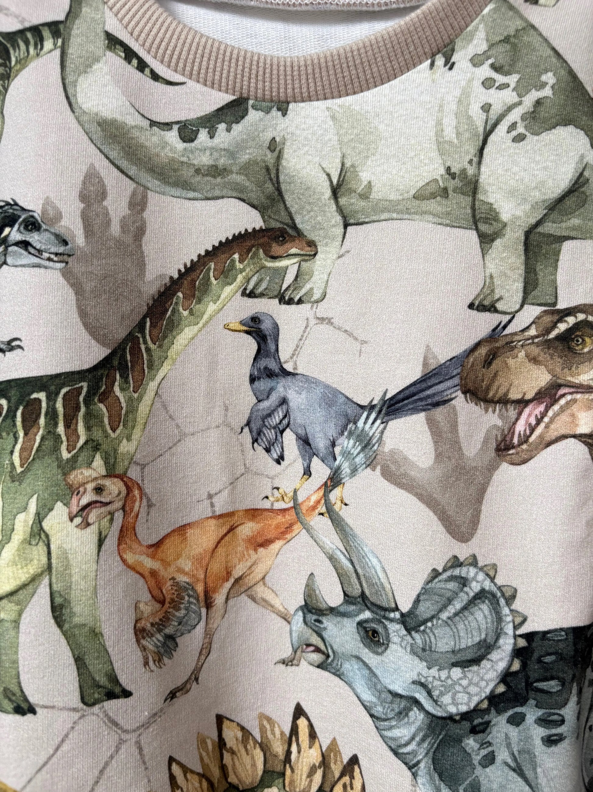 Bluza chłopięca w dinozaury - Bunny Baby