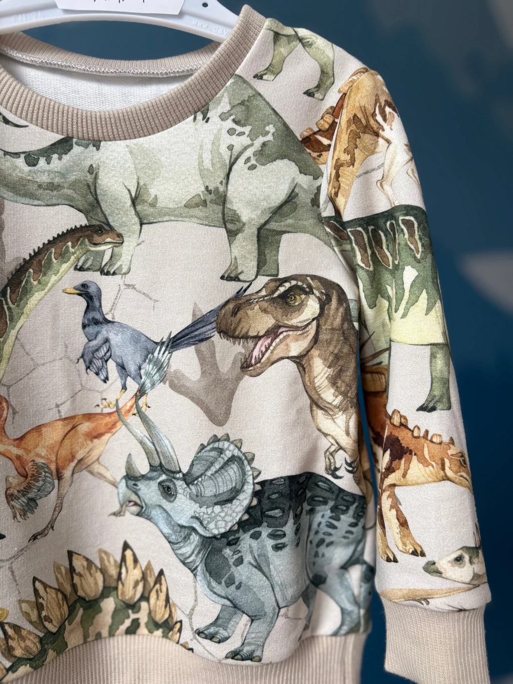 Bluza chłopięca w dinozaury - Bunny Baby